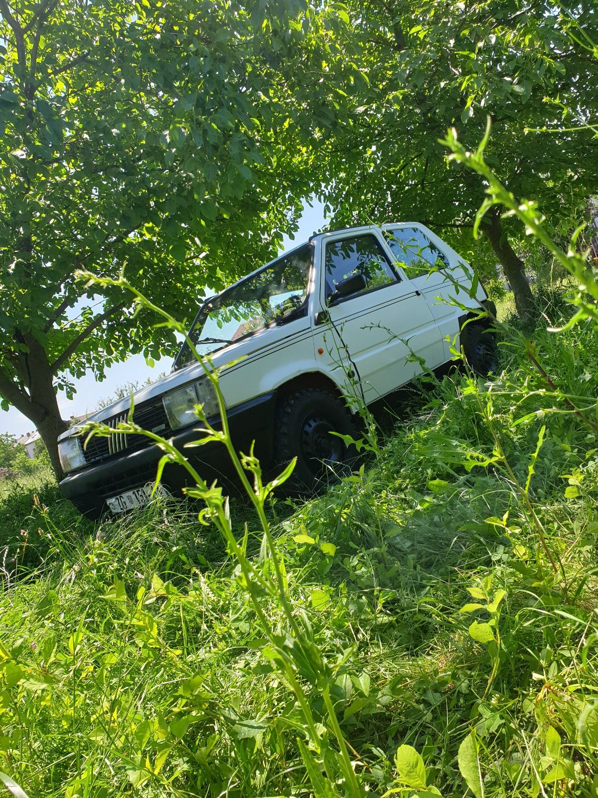 Fiat Panda 750,4x4, Sergio Tacchini, fotografija 8