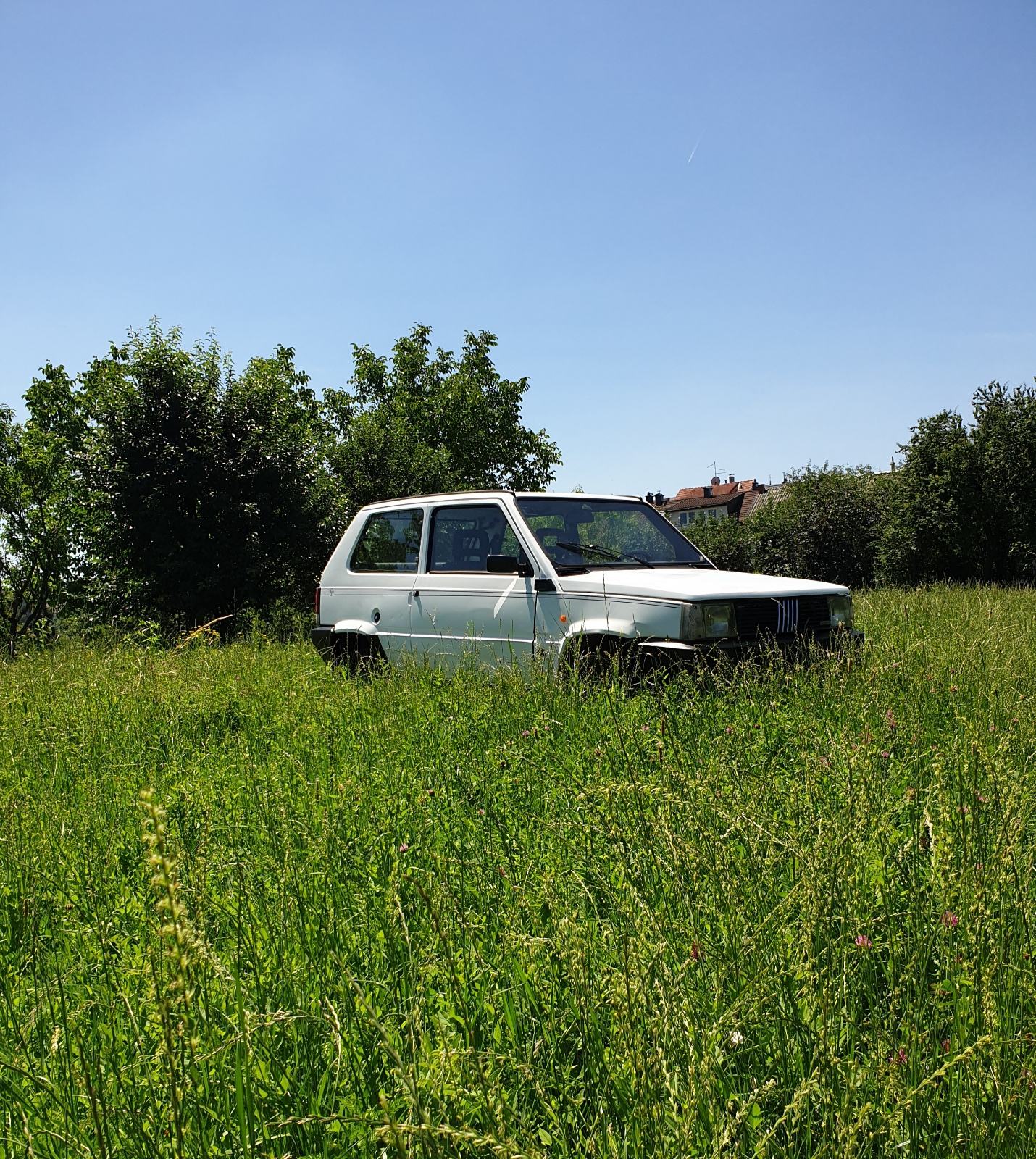 Fiat Panda 750,4x4, Sergio Tacchini, fotografija 9