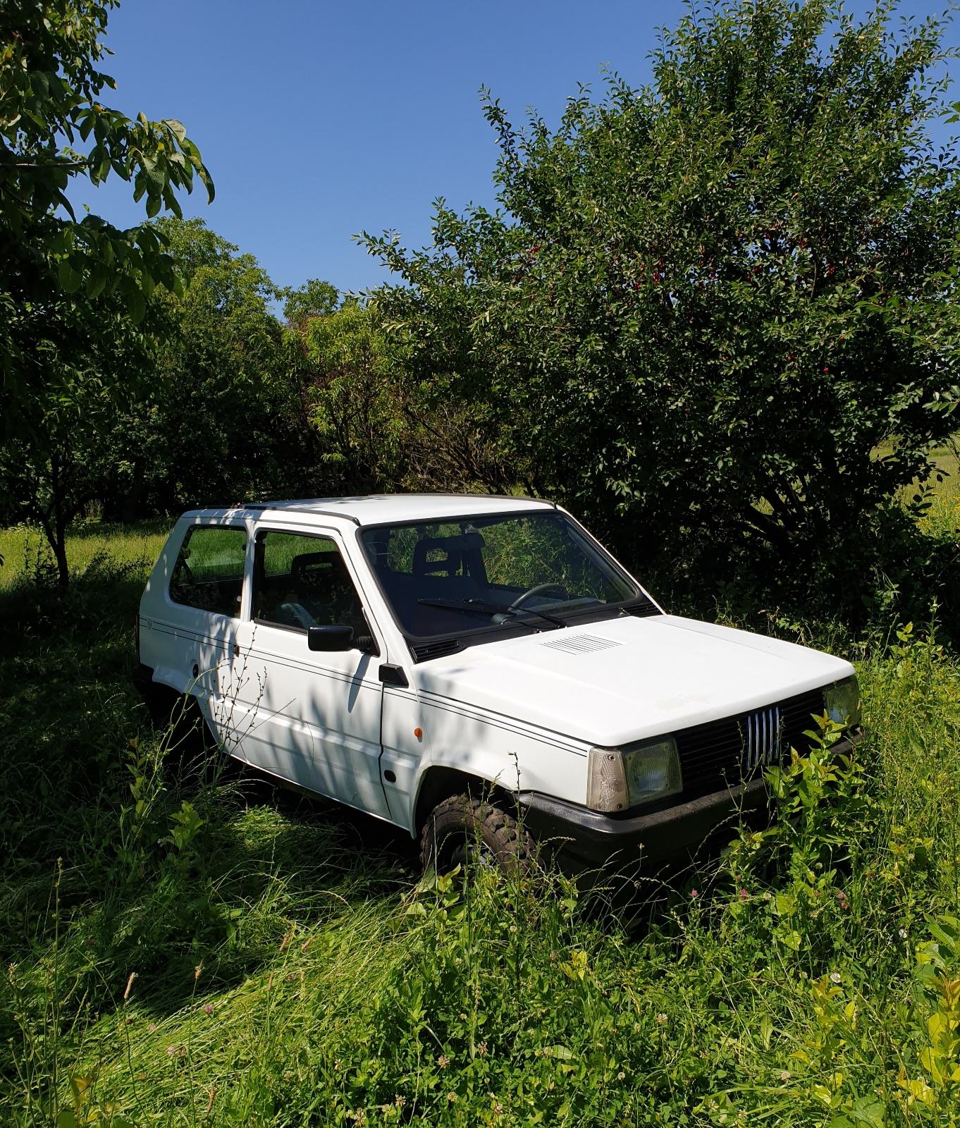 Fiat Panda 750,4x4, Sergio Tacchini, fotografija 10