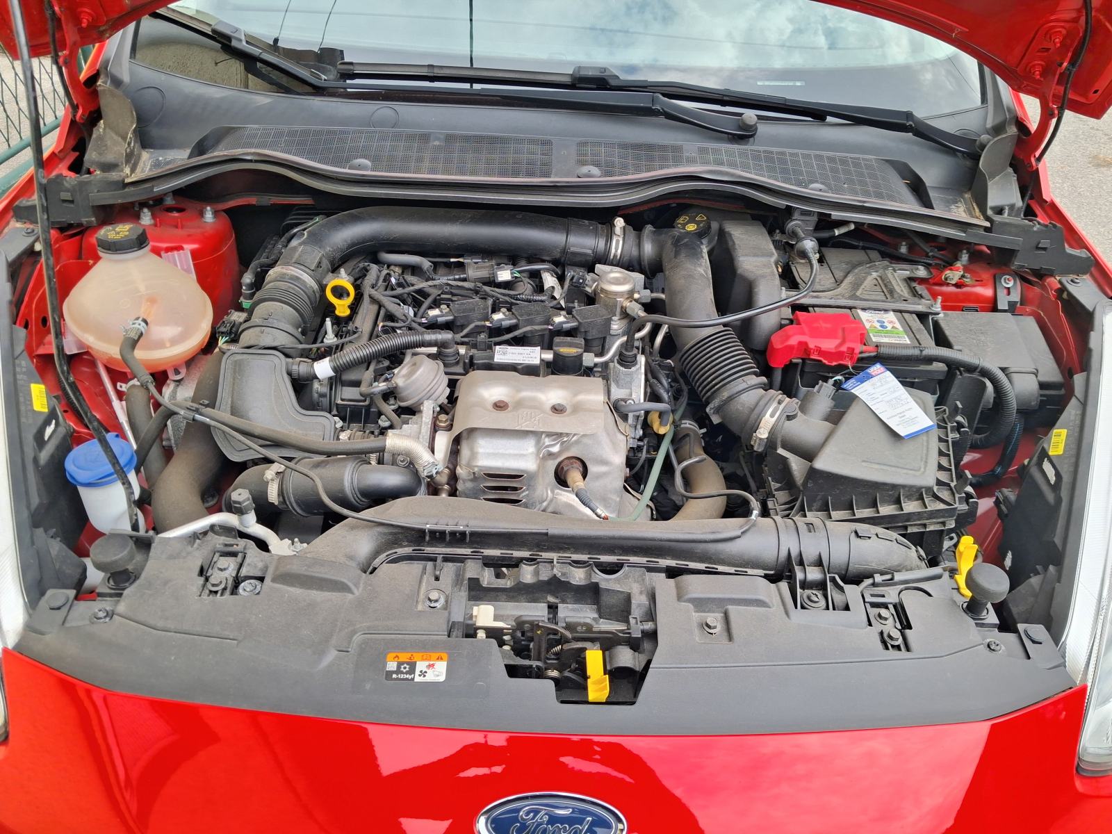 Ford Fiesta ACTIVE, fotografija 11