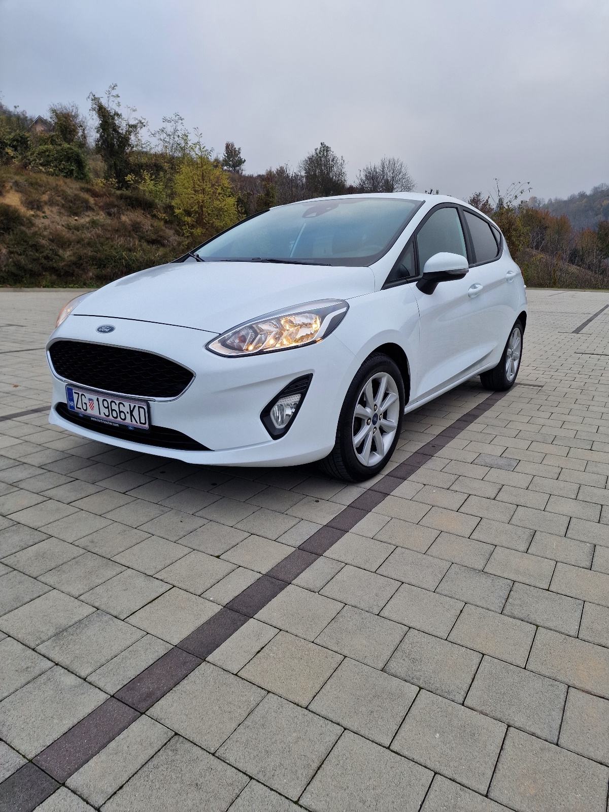 Ford Fiesta 1,0 EcoBoost, fotografija 2