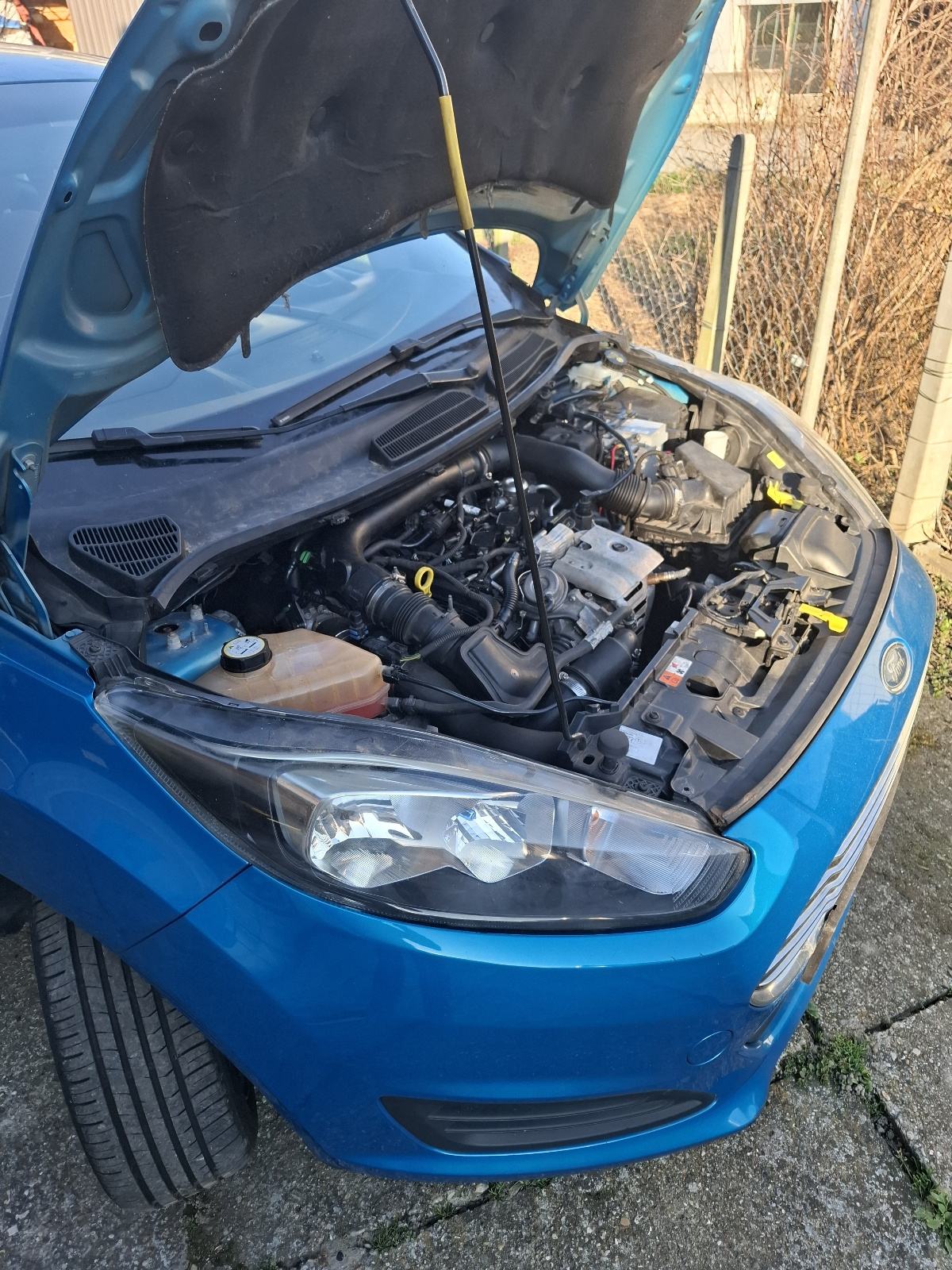 Ford Fiesta 1,0 reg god dana, fotografija 15