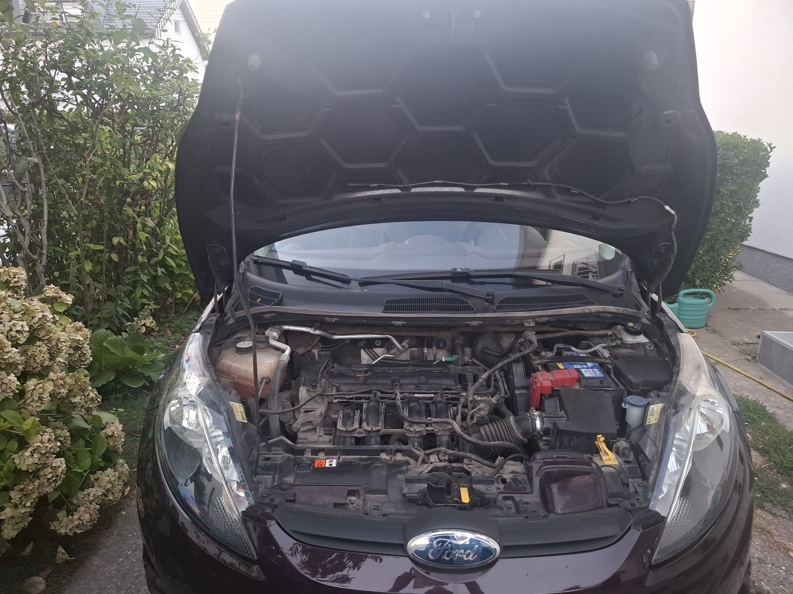 Ford Fiesta 1.25 i, 16v, SAMO 121000 KM, SERVISNA I POTVRDA O KM !, fotografija 17