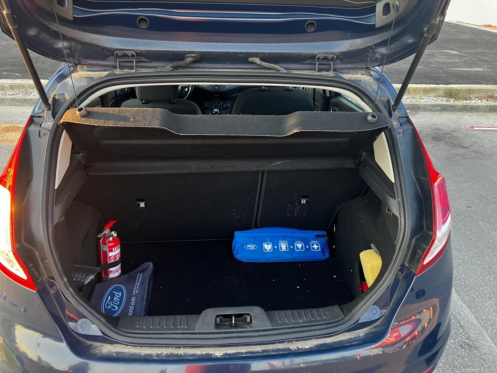 Ford Fiesta 1,25i mala kilometraža, fotografija 9