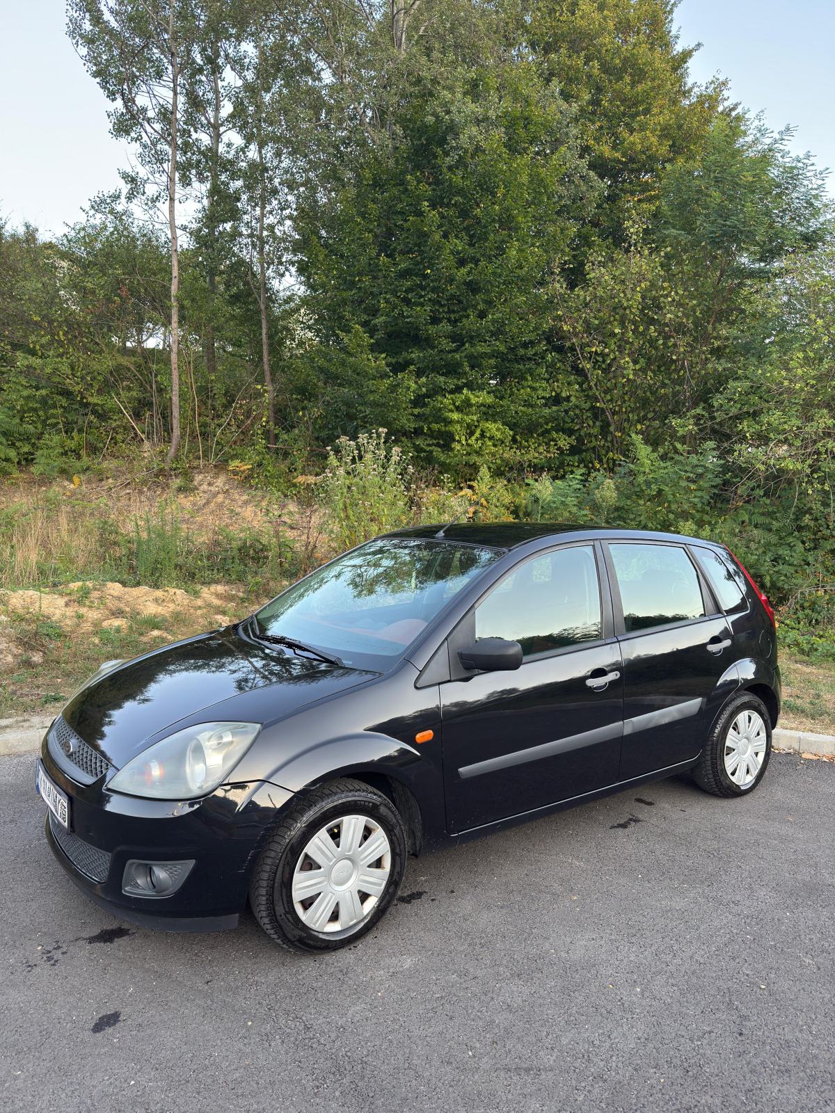 Ford Fiesta 1,4, fotografija 4