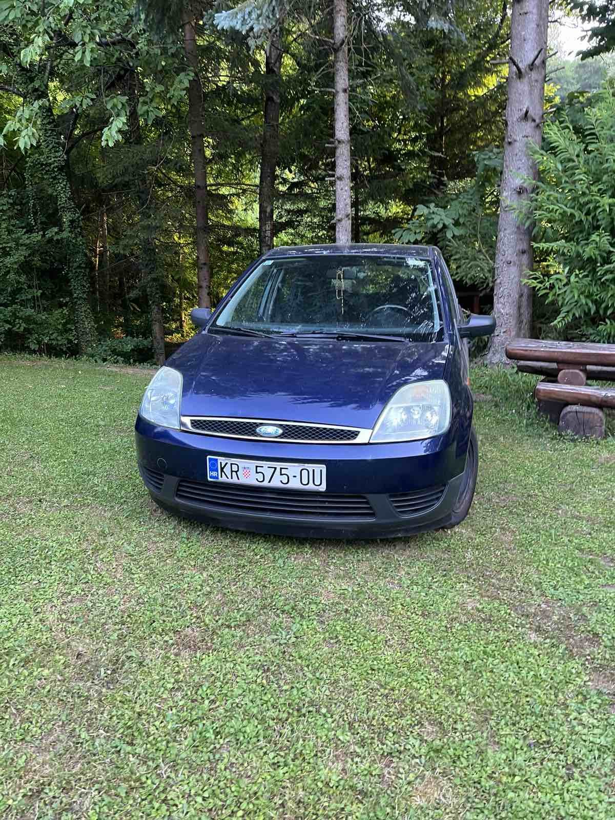 Ford Fiesta 1,4 TDCI automatik, fotografija 4