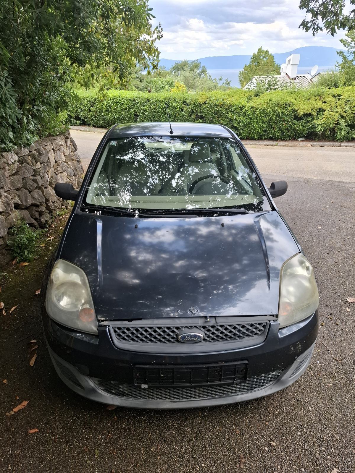Ford Fiesta 1,4 TDCI, fotografija 5
