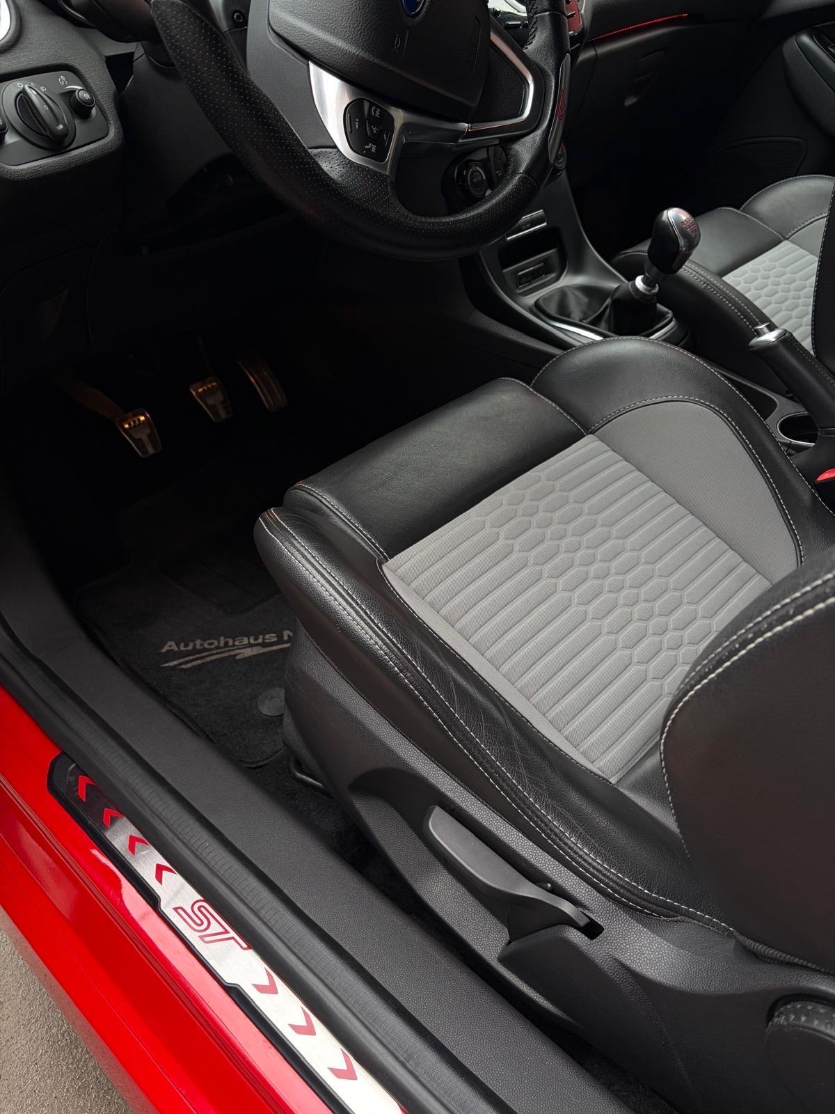 Ford Fiesta ST, fotografija 14
