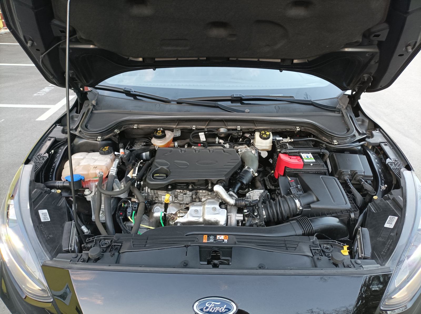 Ford Focus ST-Line 1.5 TDCi, fotografija 13