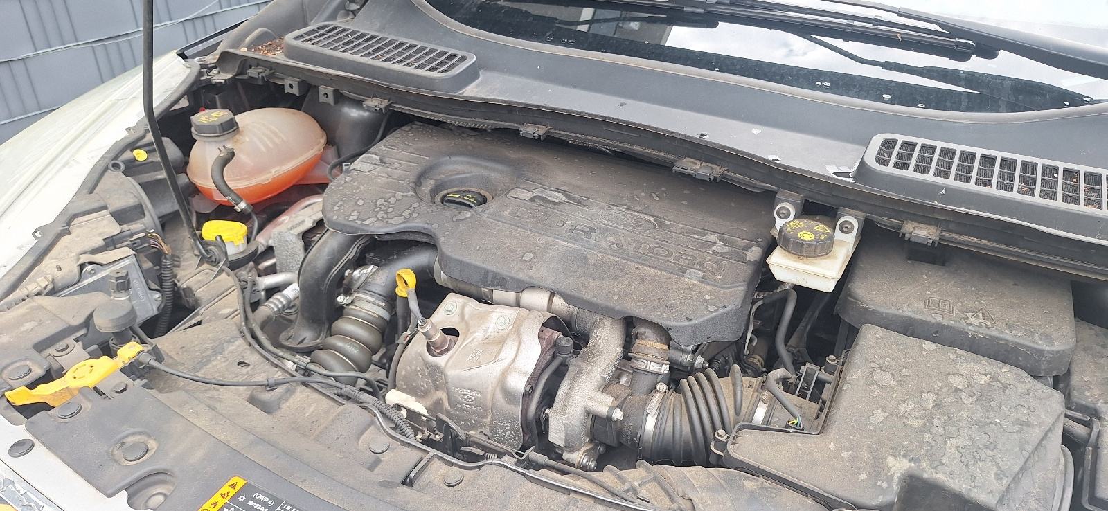 Ford Kuga 1,5, fotografija 9