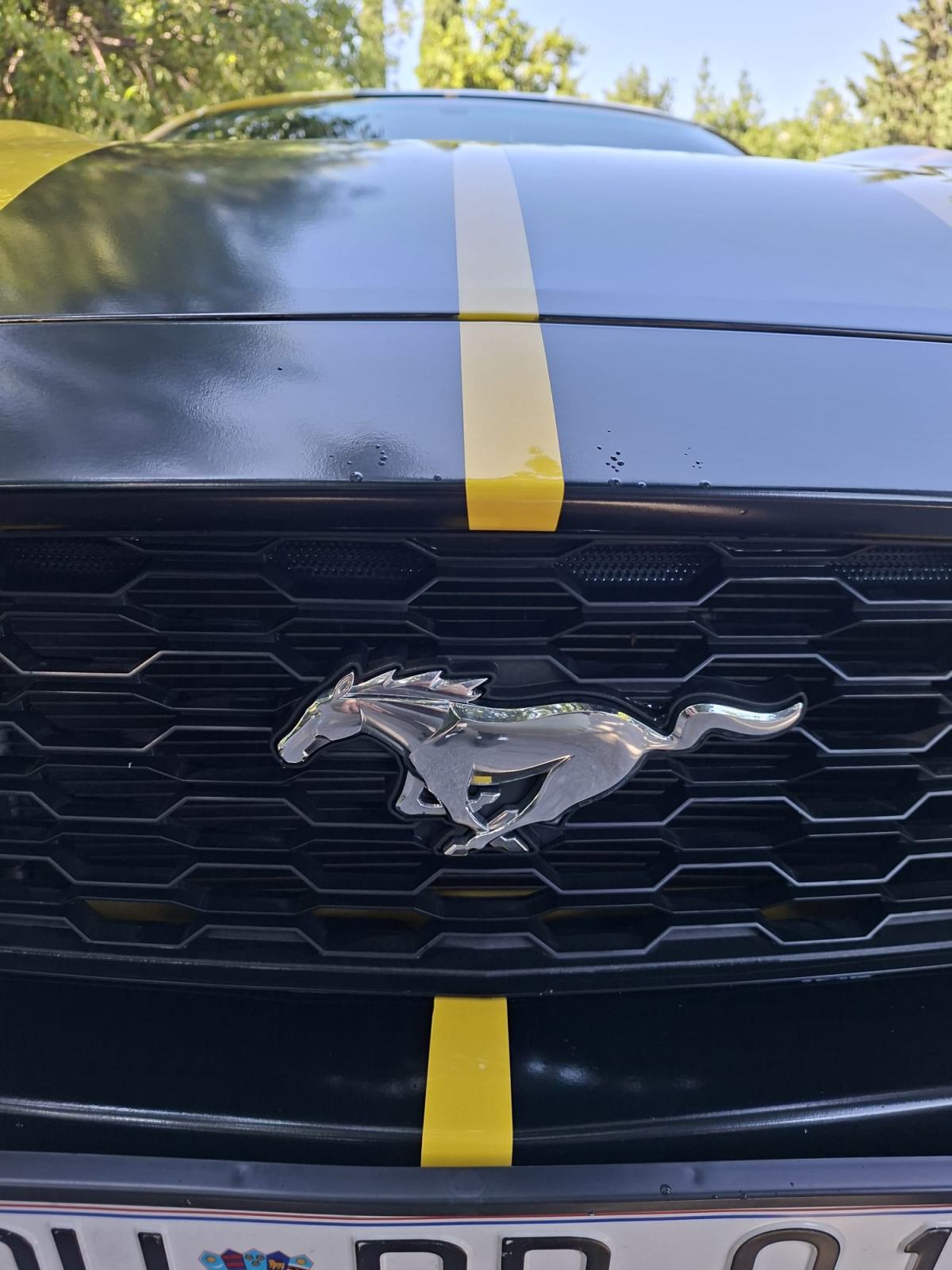 Ford Mustang 3.7 V6 CABRIOLET automatik, pogled izvana - slika 2