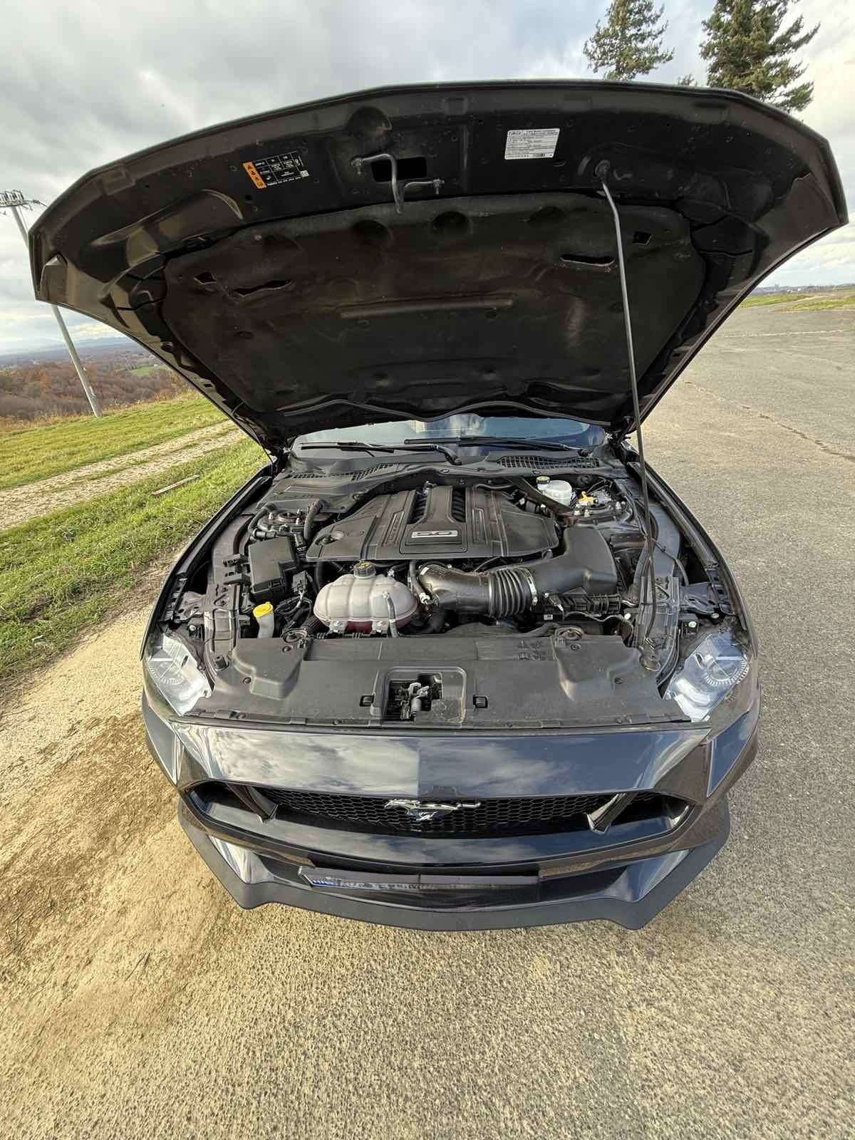 Ford Mustang 5,0 V8 automatik, fotografija 3