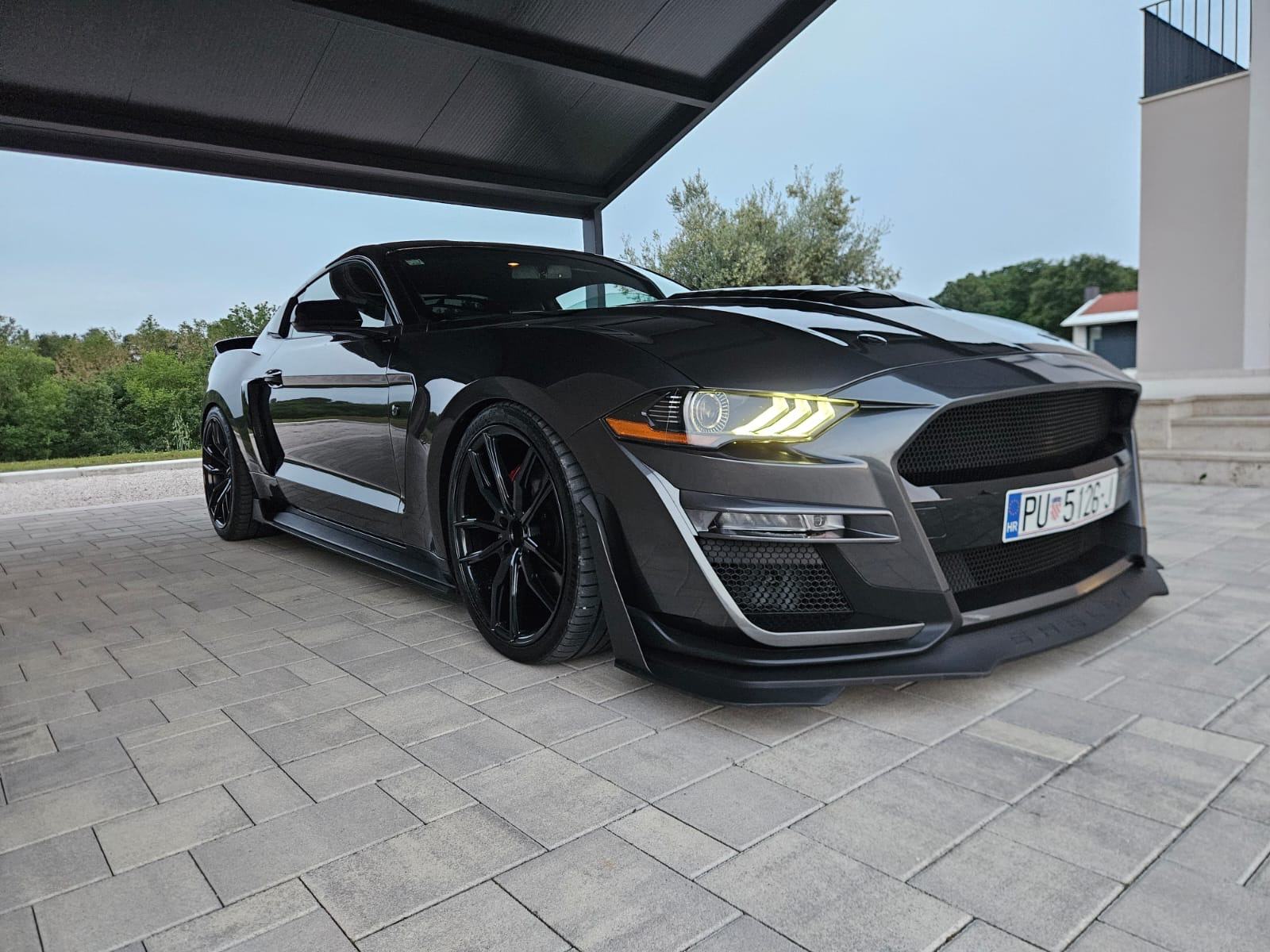 Ford Mustang 5,0 V8 GT Shelby, fotografija 4