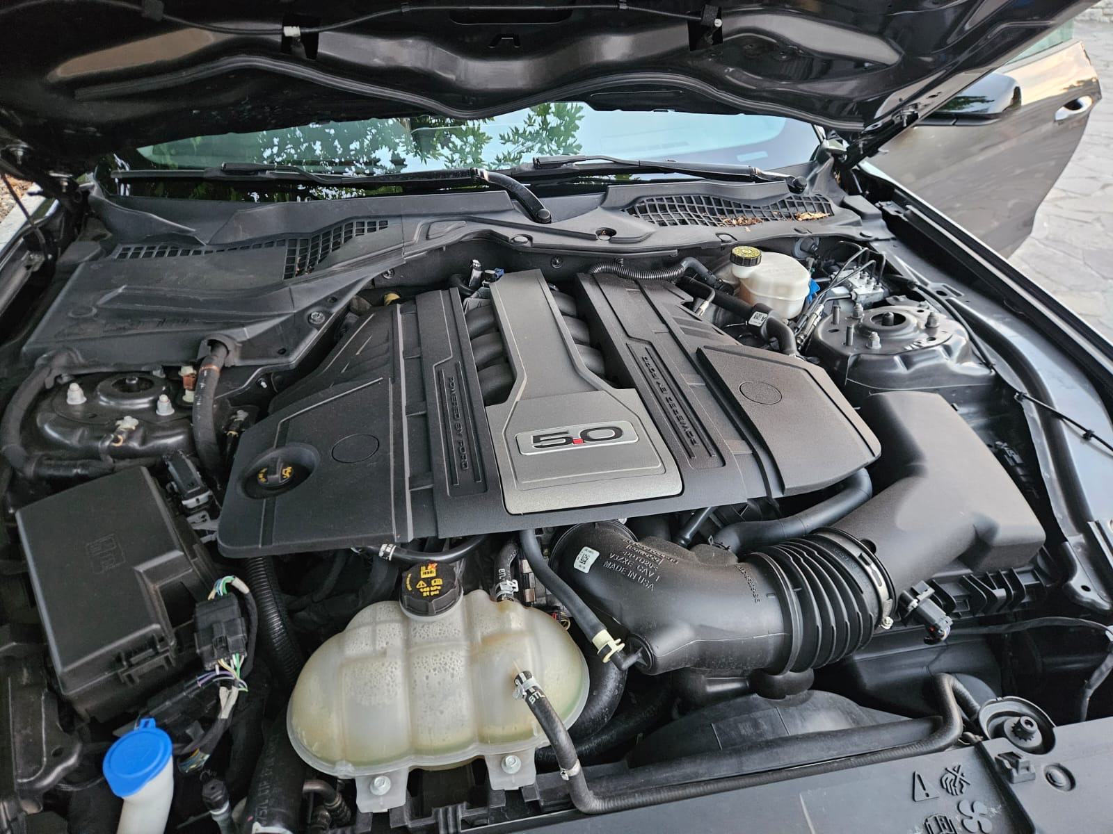 Ford Mustang 5,0 V8 GT Shelby, fotografija 8