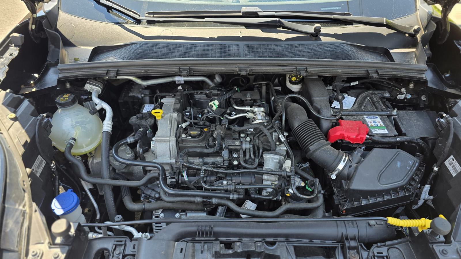 Ford Puma 1,0 MHEV (Hybrid), ST-Line + WINTER paket, virtualni kokpit, fotografija 17