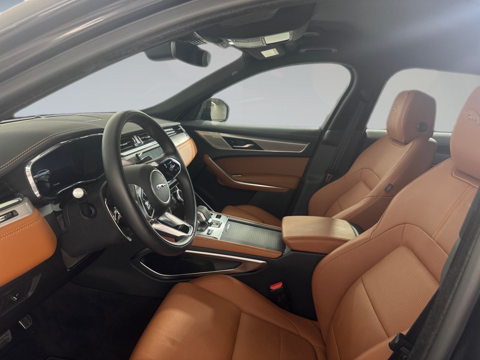 Jaguar F-Pace R-DYN, fotografija 13