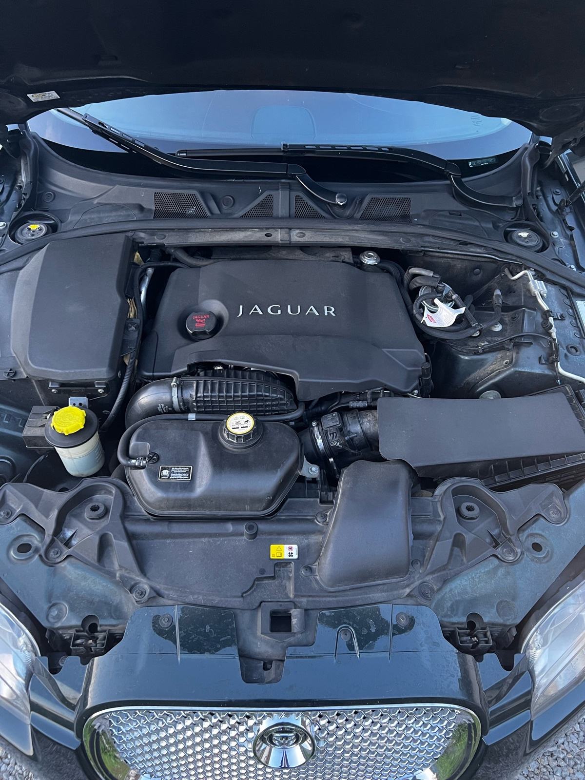 Jaguar XF 3,0 D V6, PREMIUM LUXURY, fotografija 11