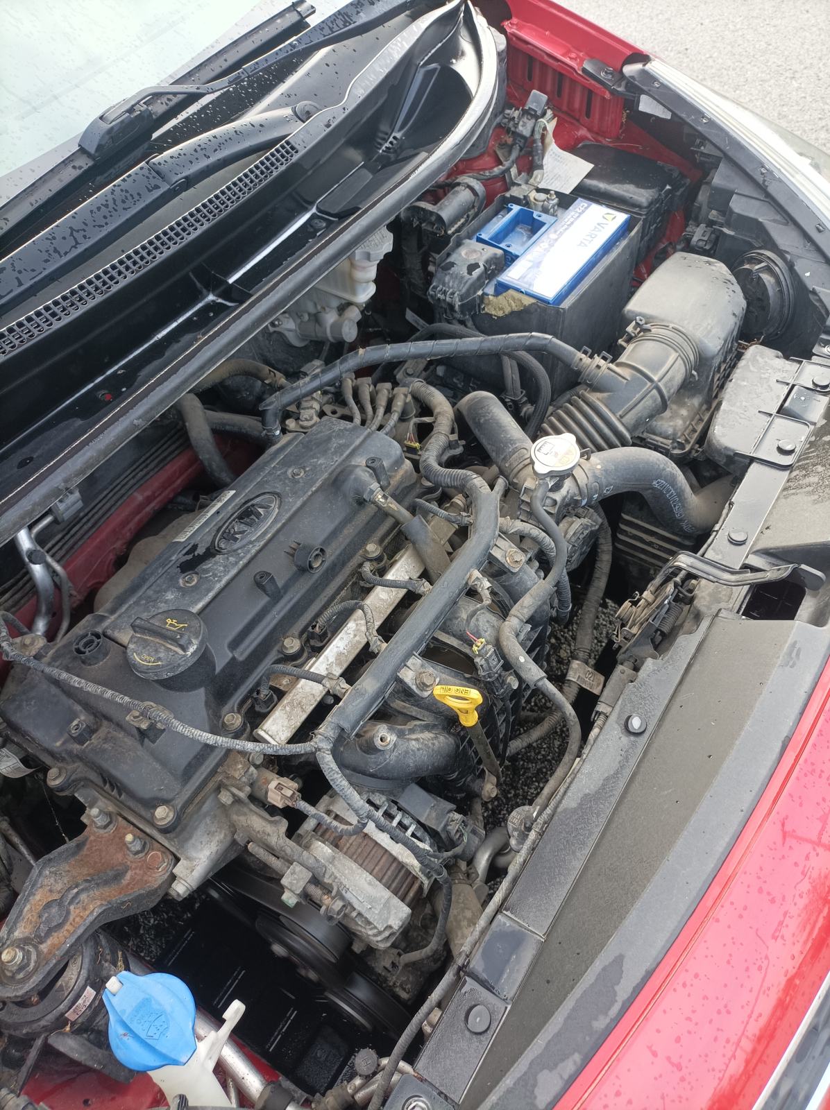 Kia Rio 1,2 EX, fotografija 6