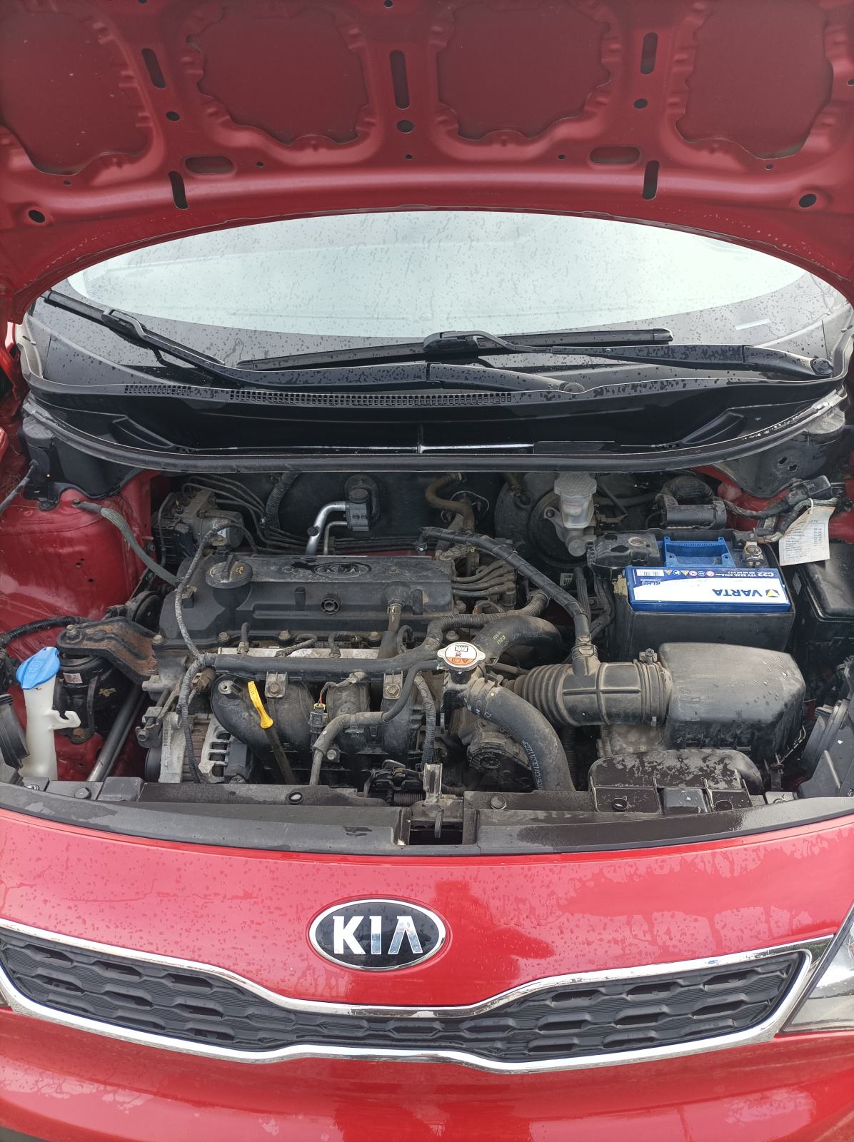 Kia Rio 1,2 EX, fotografija 5