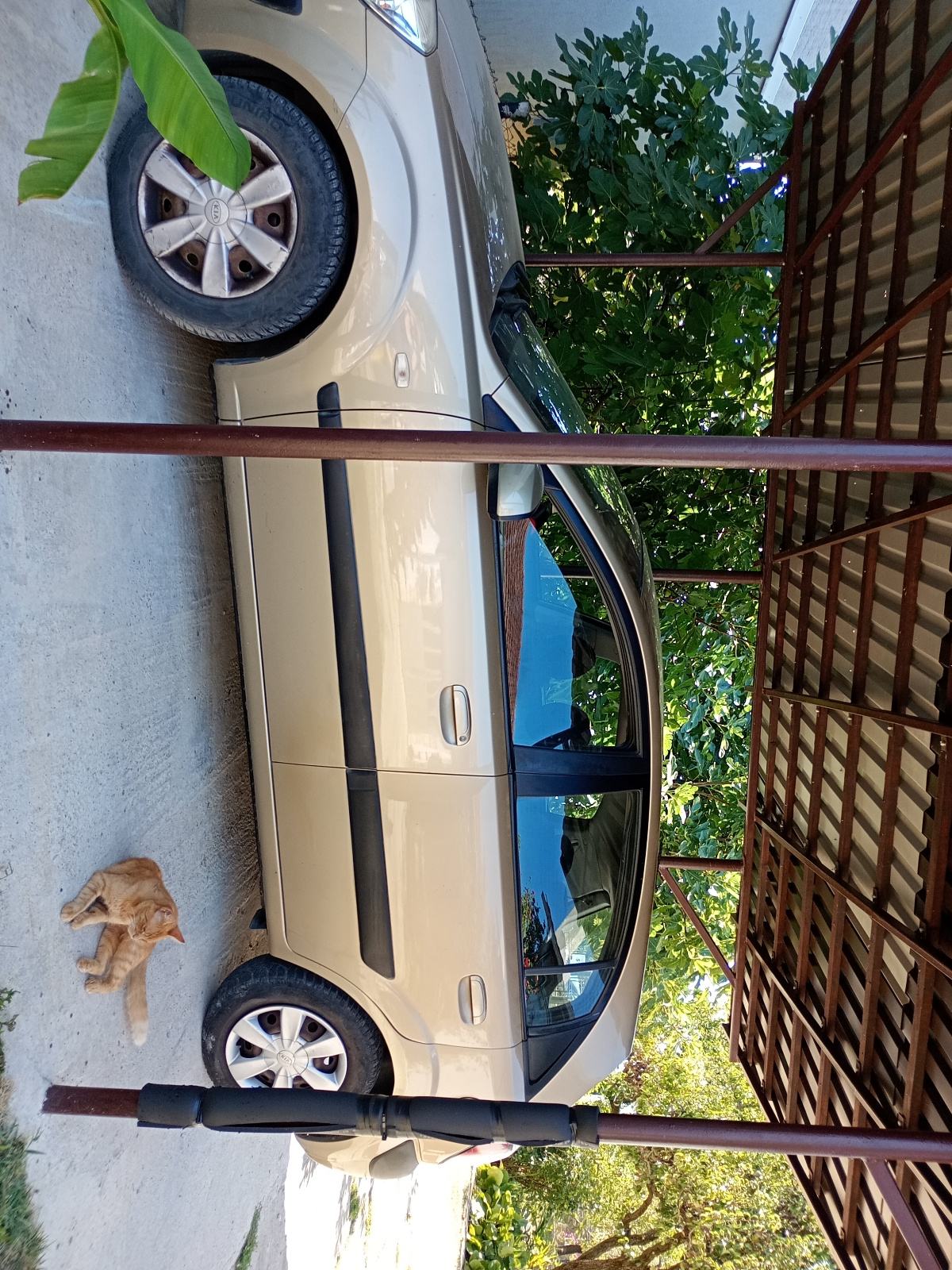 Kia Rio 1,4 i EX, fotografija 2