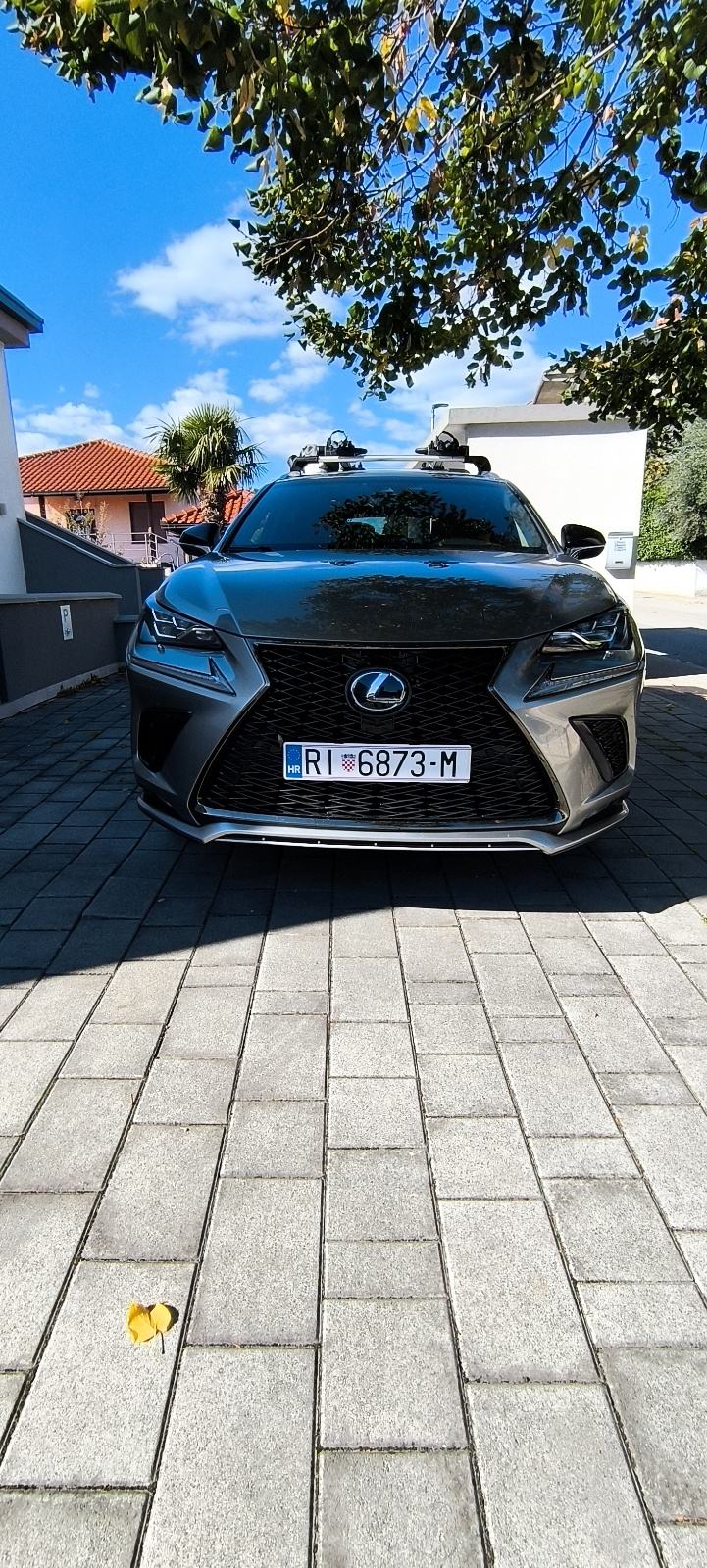 Lexus NX 300h f sport AWD *LEXUS RELAX JAMSTVO*, fotografija 3