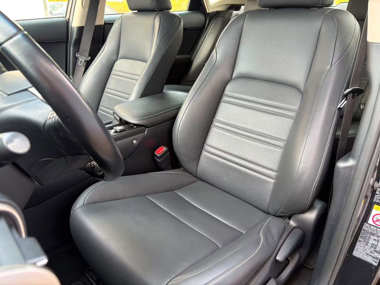 Lexus NX 300h Automatik, fotografija 19