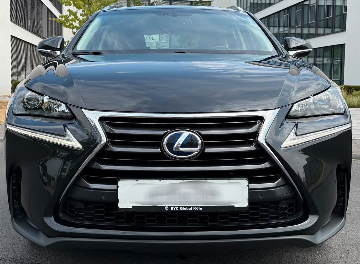 Lexus NX 300h Luxury Line 4x4 LEXUS **JAMSTVO do 01/2027**, fotografija 6