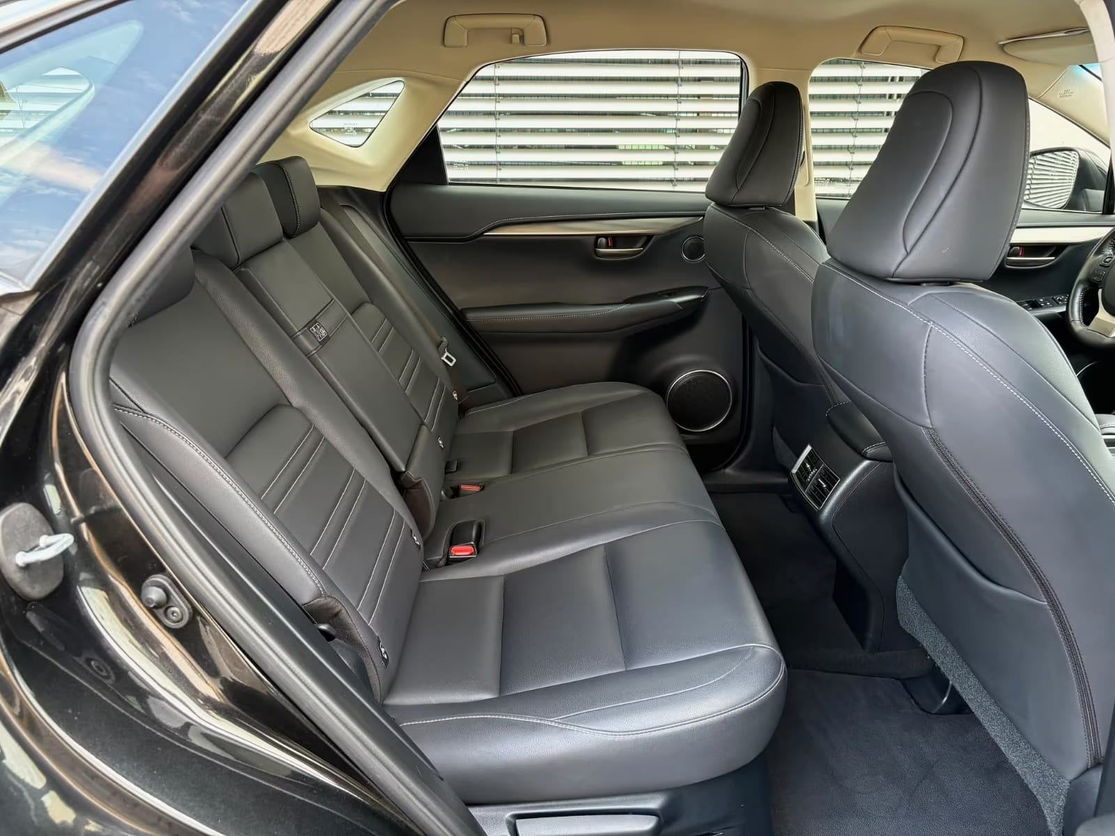 Lexus NX 300h Luxury Line 4x4 LEXUS **JAMSTVO do 01/2027**, fotografija 16