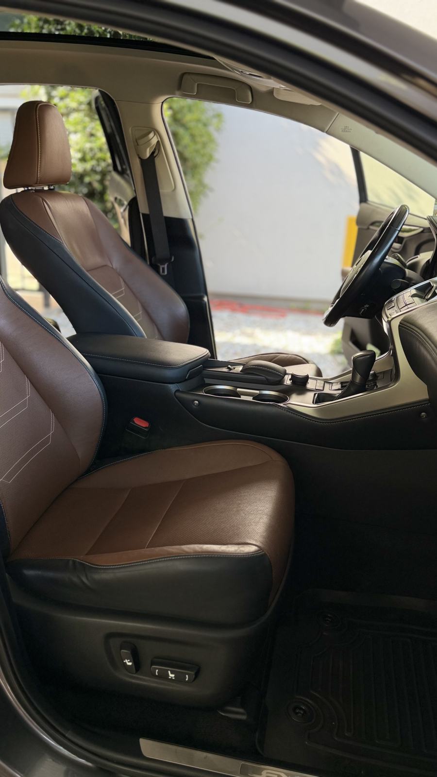 Lexus NX 300h Luxury AWD, fotografija 10