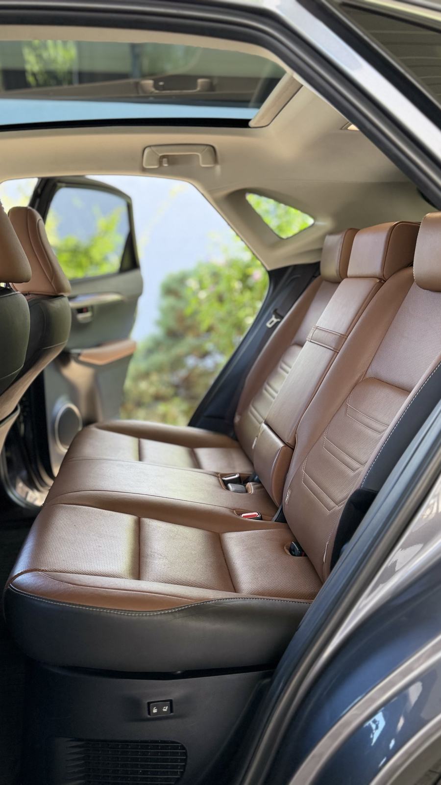 Lexus NX 300h Luxury AWD, fotografija 11