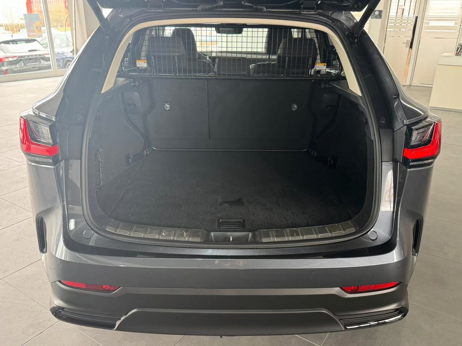 Lexus NX 350 automatik, fotografija 9