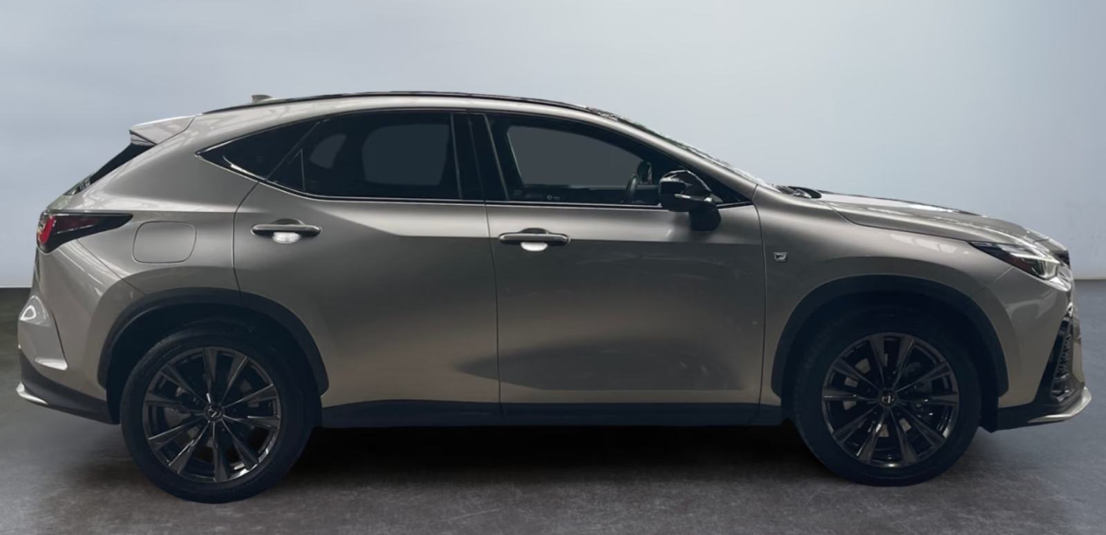 Lexus NX 450h + AWD - F SPORT, 20 ZOLL, MATRIX, HEADUP, 360 KAMERA, fotografija 5