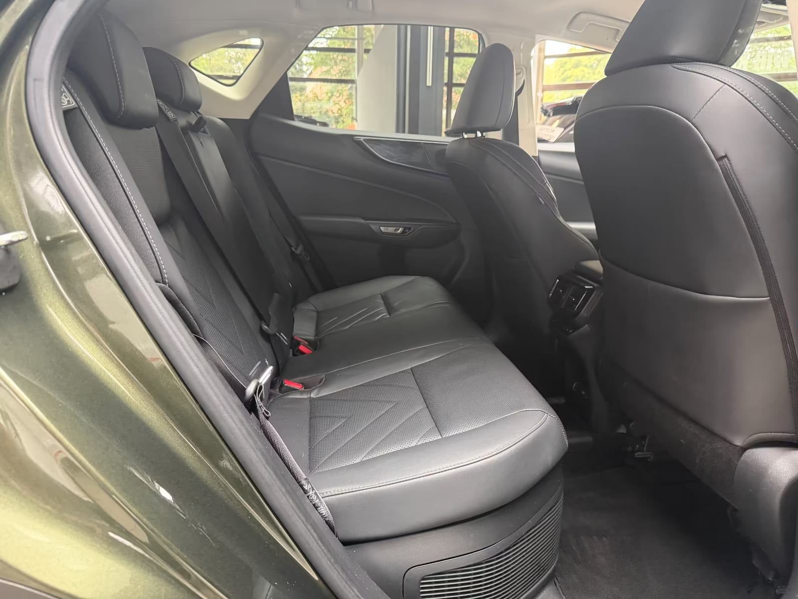 Lexus NX 450h+ Executive *360KAMERA*Plug-in*4X4*, fotografija 15
