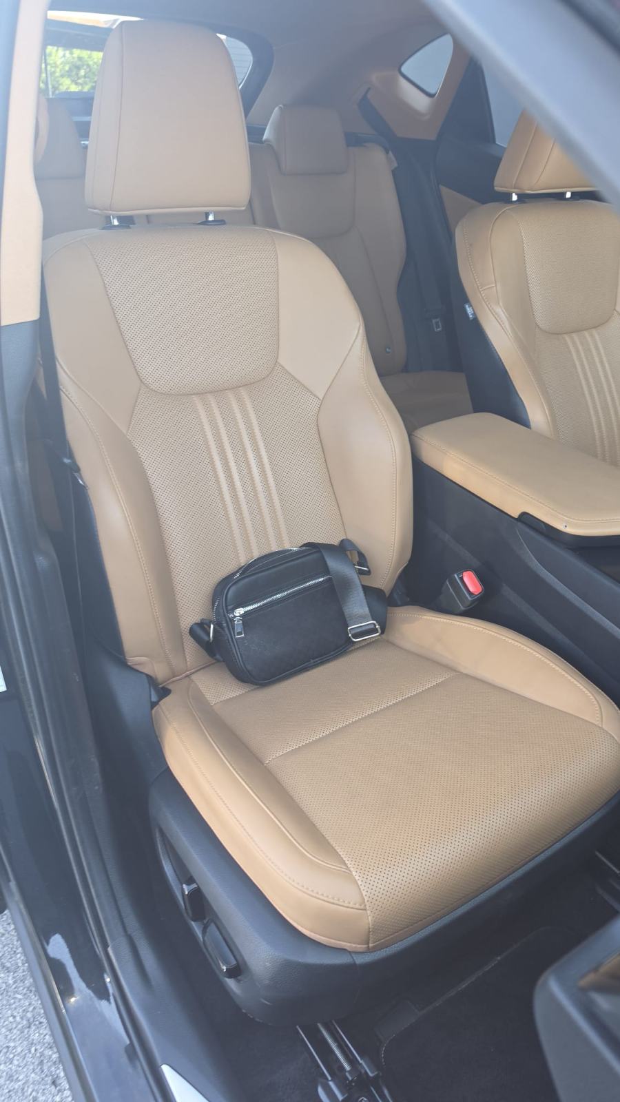 Lexus NX NX 450h + AWD, fotografija 16