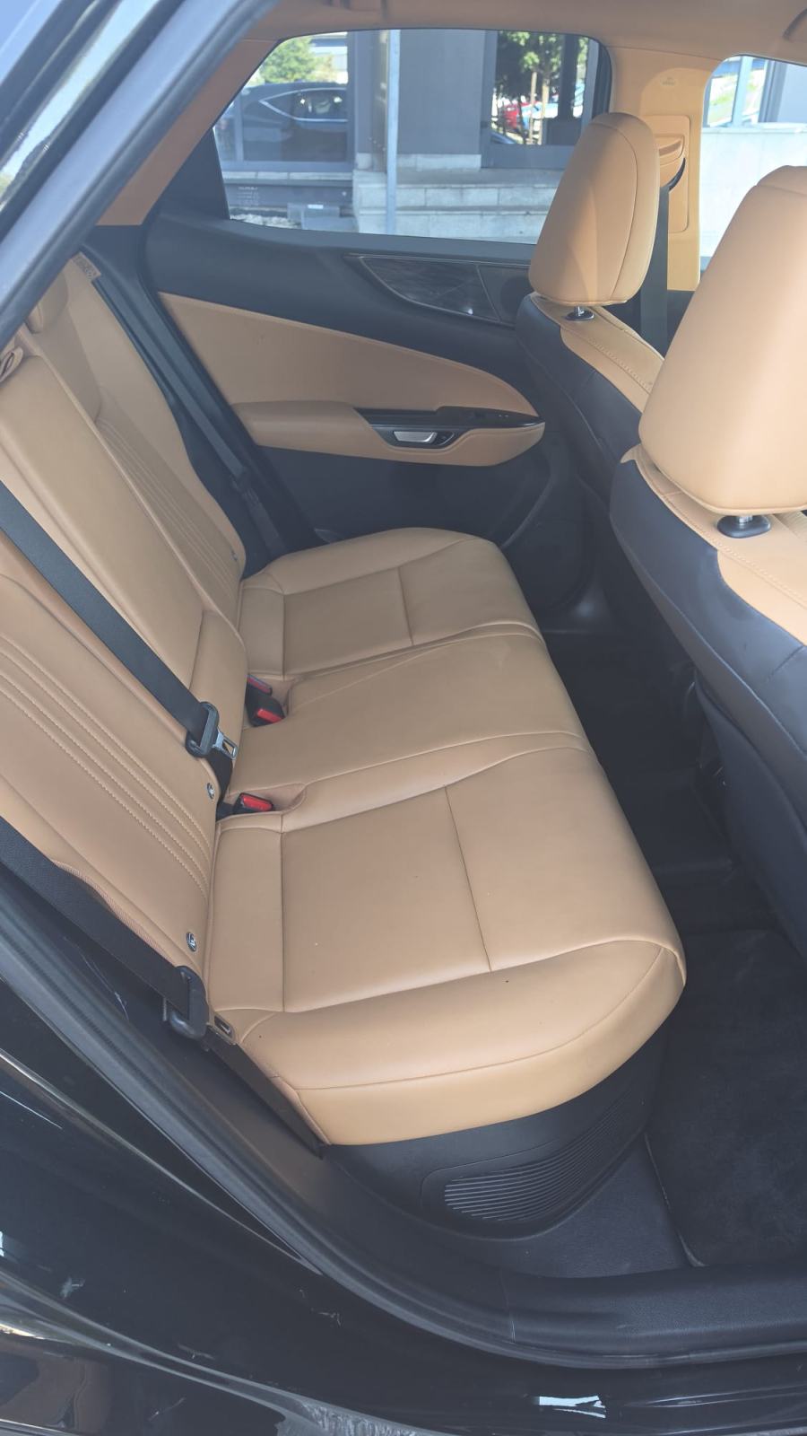 Lexus NX NX 450h + AWD, fotografija 17