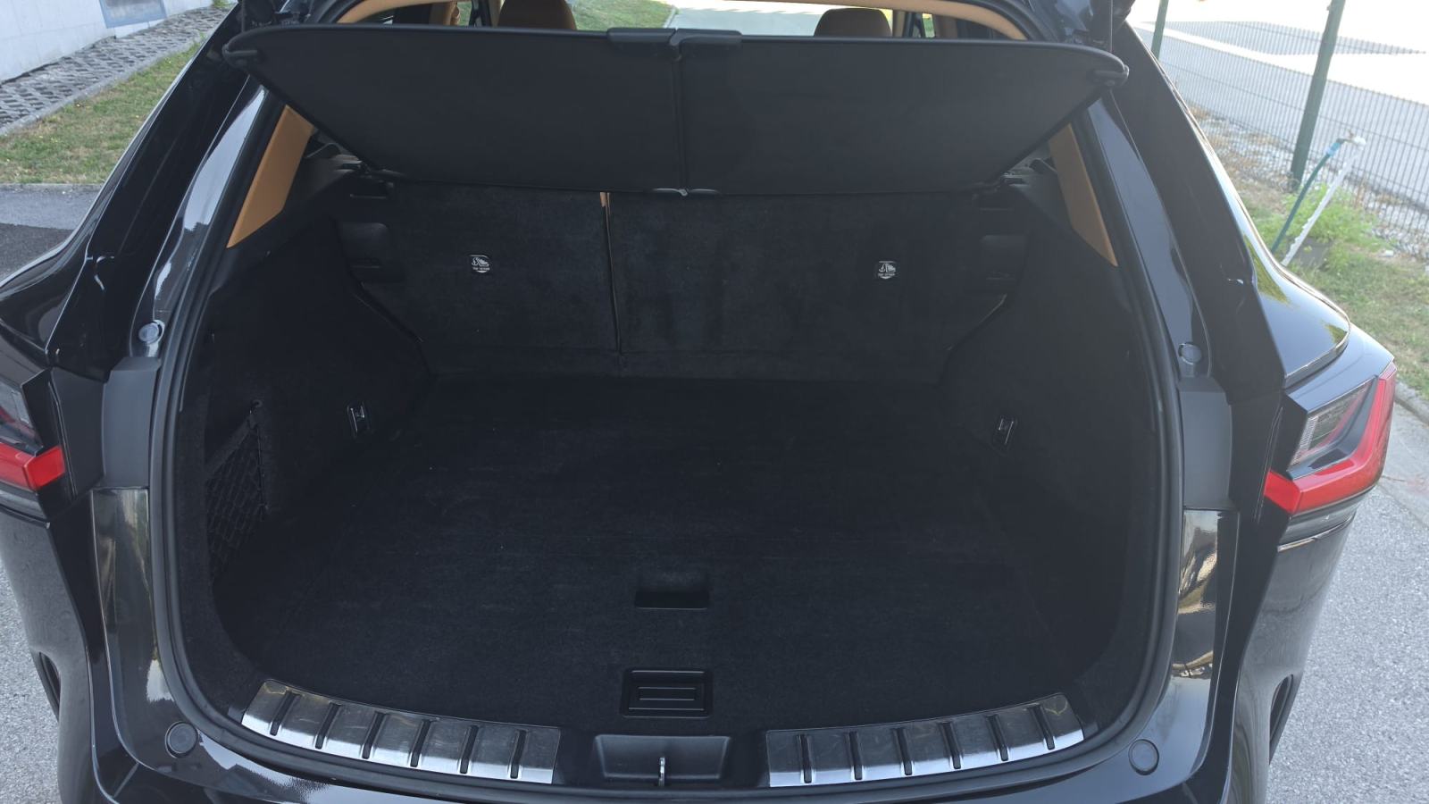 Lexus NX NX 450h + AWD, fotografija 18