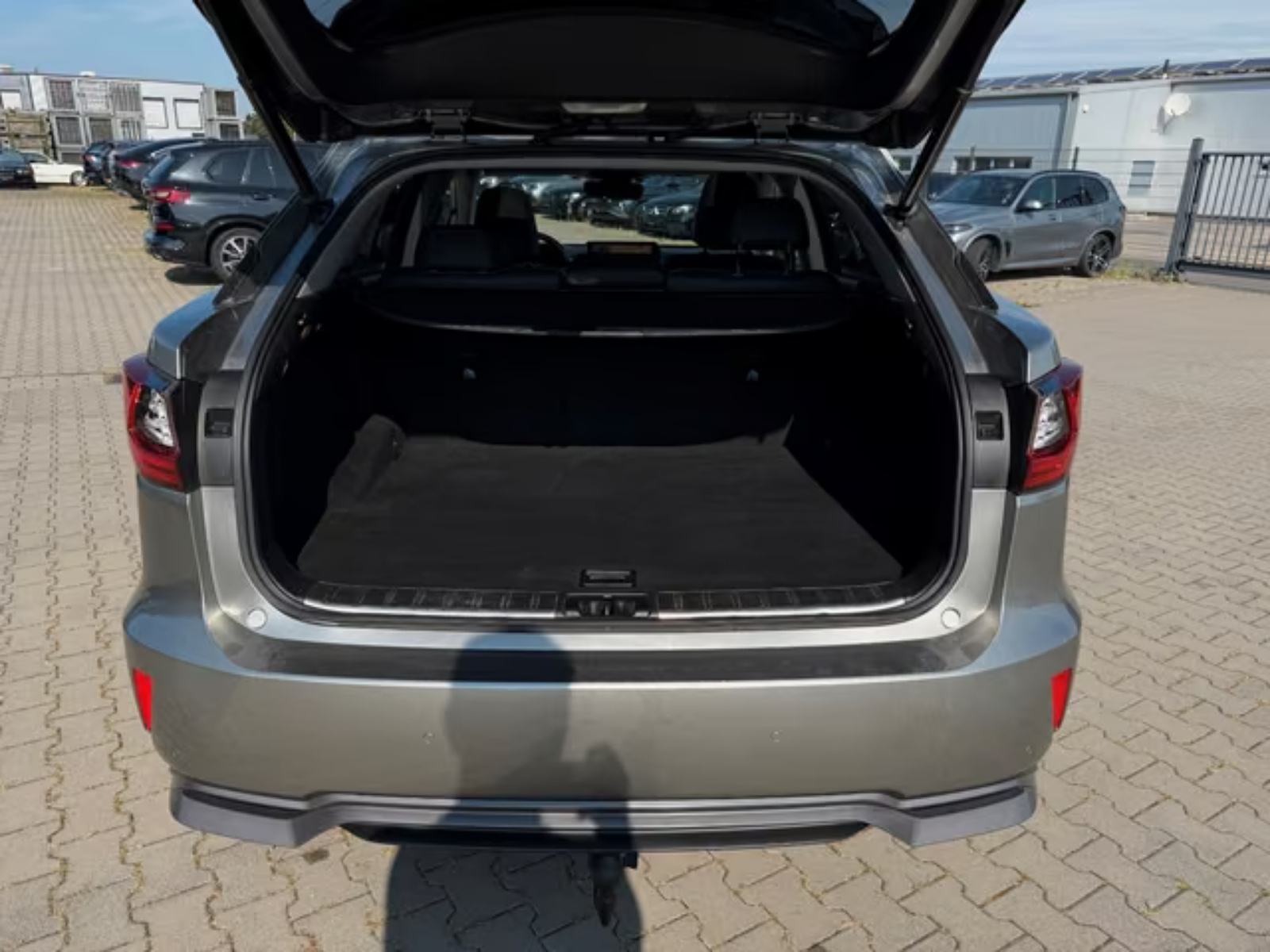 Lexus RX 450 Luxury AWD Hybrid, fotografija 6
