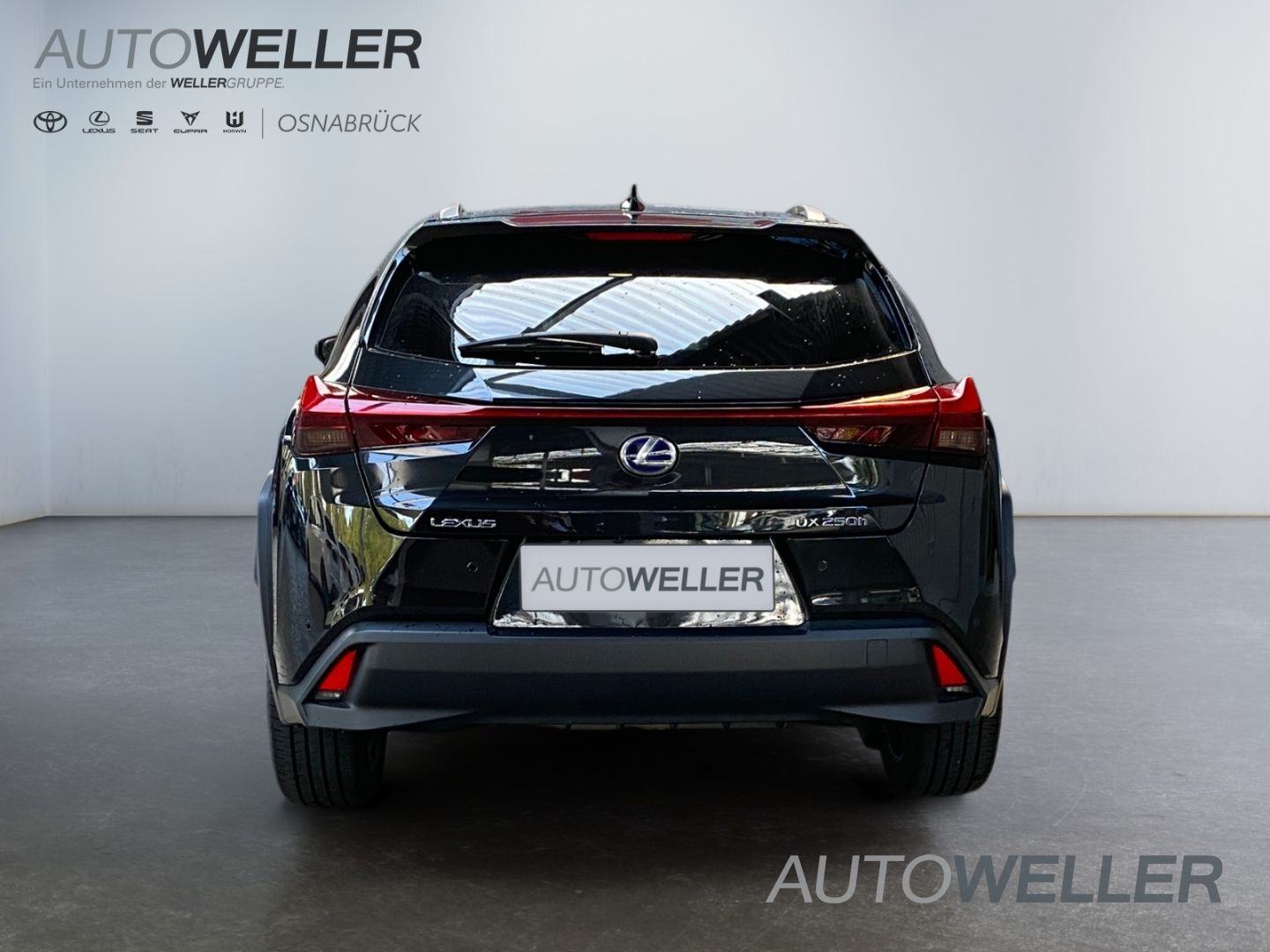 Lexus UX 250h STYLE 184 KS Hybrid e-CVT BI-LED NAVI ACC-TEMPOMAT 2022, fotografija 19