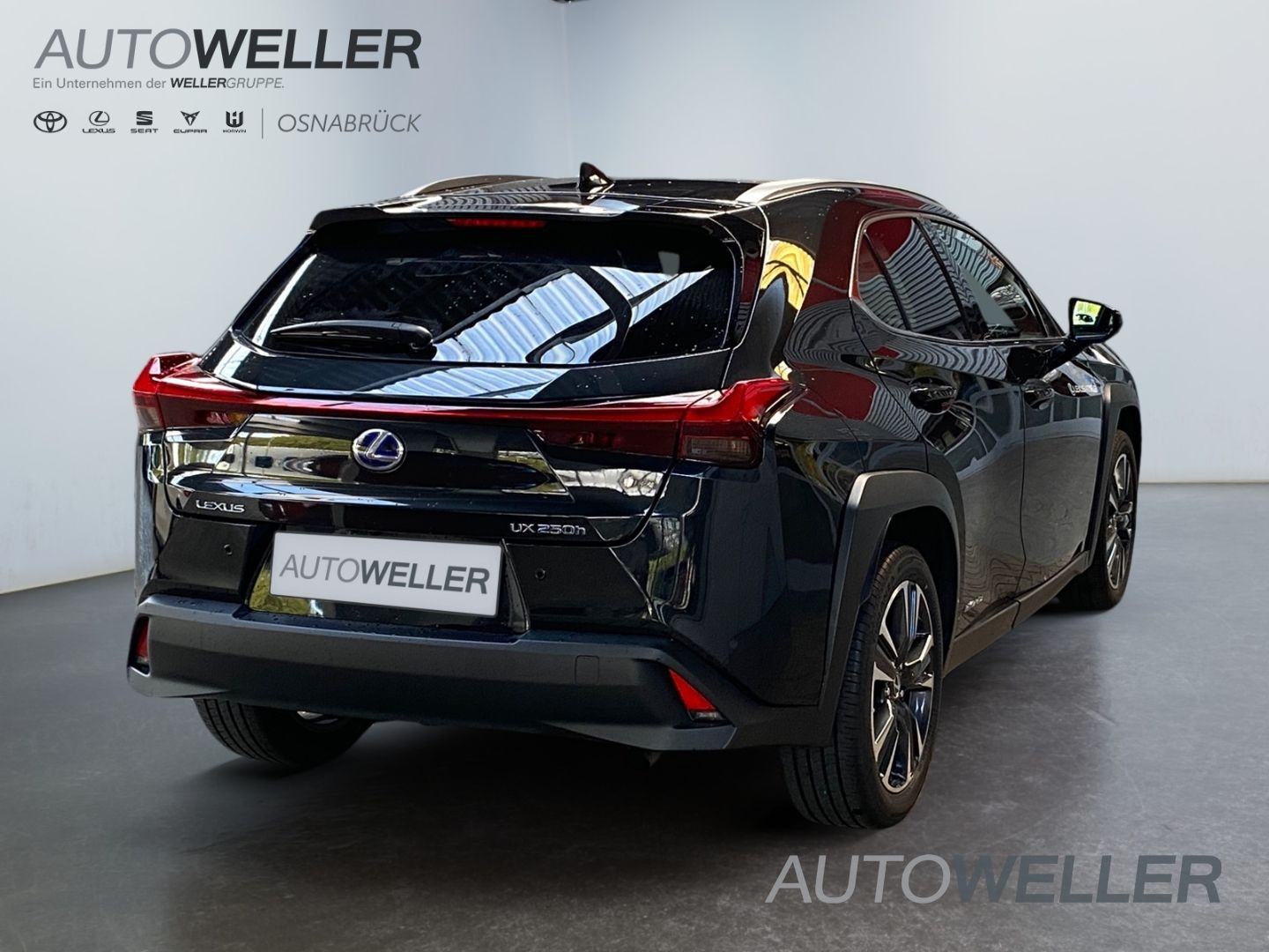 Lexus UX 250h STYLE 184 KS Hybrid e-CVT BI-LED NAVI ACC-TEMPOMAT 2022, fotografija 18