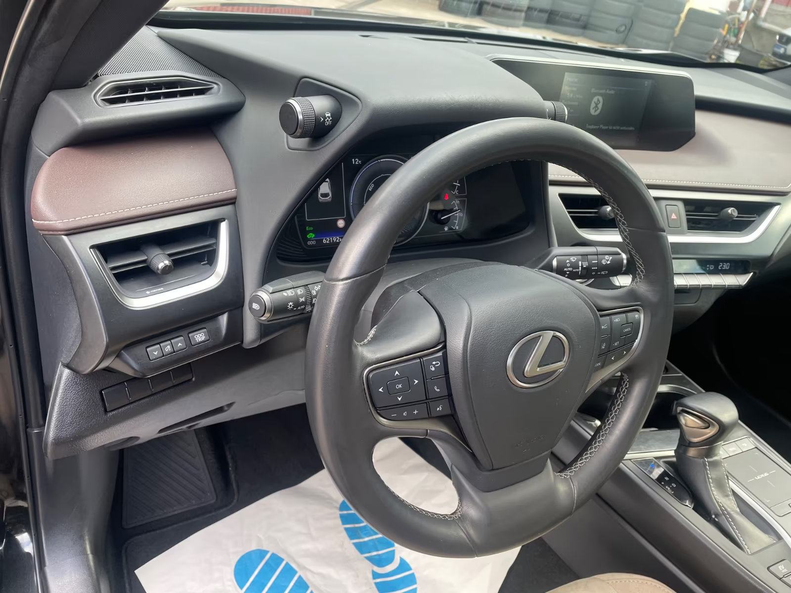 Lexus UX UX 250h LED navi alcantara kamera keyless servisna TOP, fotografija 10