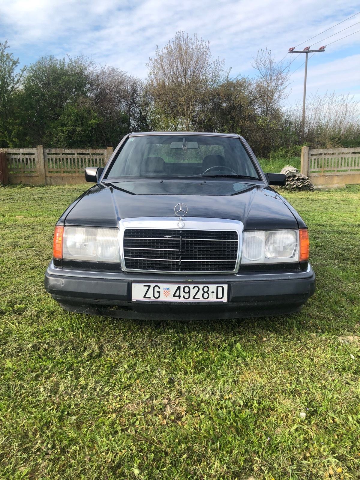 Mercedes-Benz 124 250 D, fotografija 2