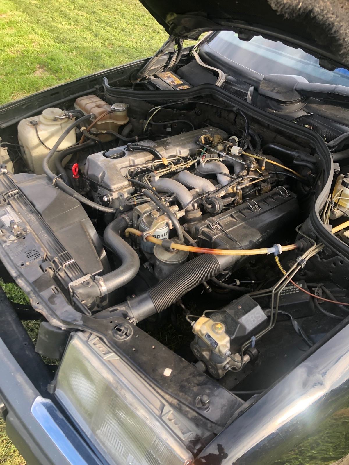 Mercedes-Benz 124 250 D, fotografija 6