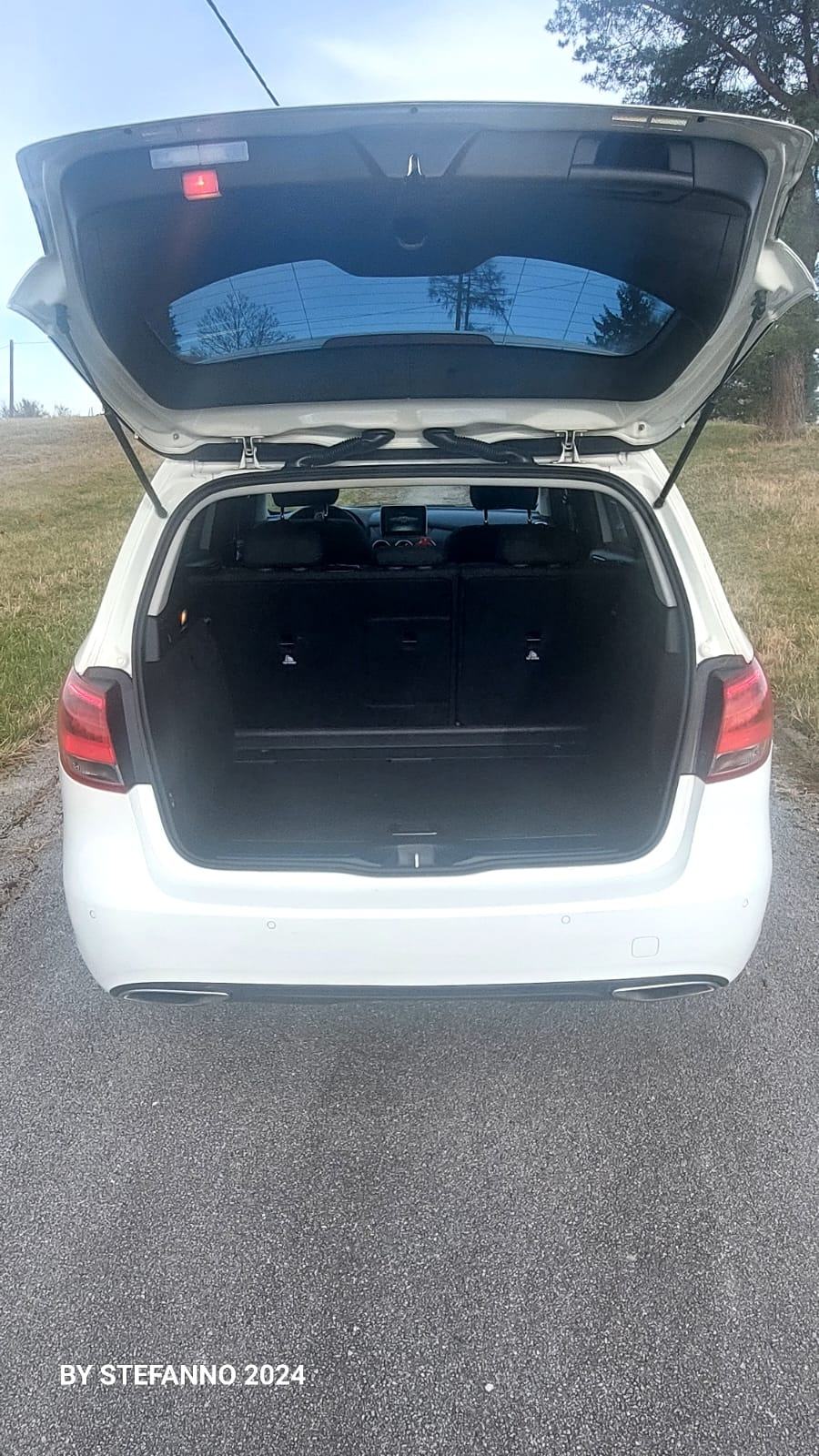 Mercedes-Benz B-klasa 220 d, fotografija 18