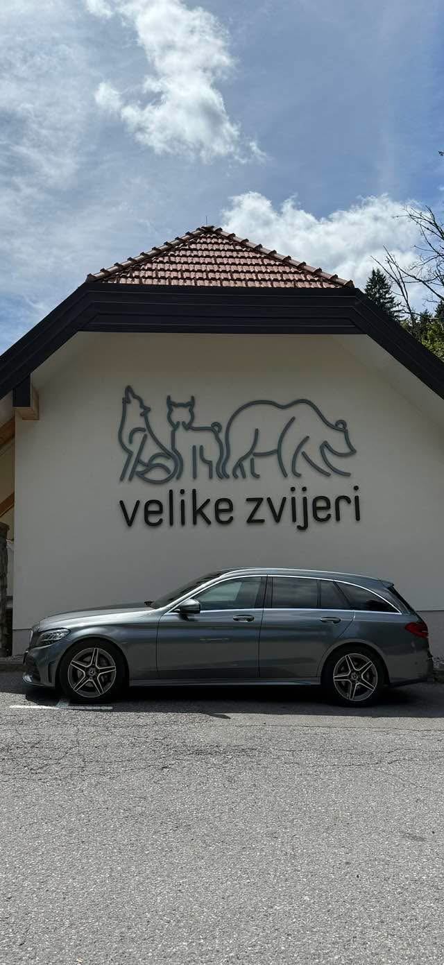 Mercedes-Benz C 220d AMG, fotografija 12