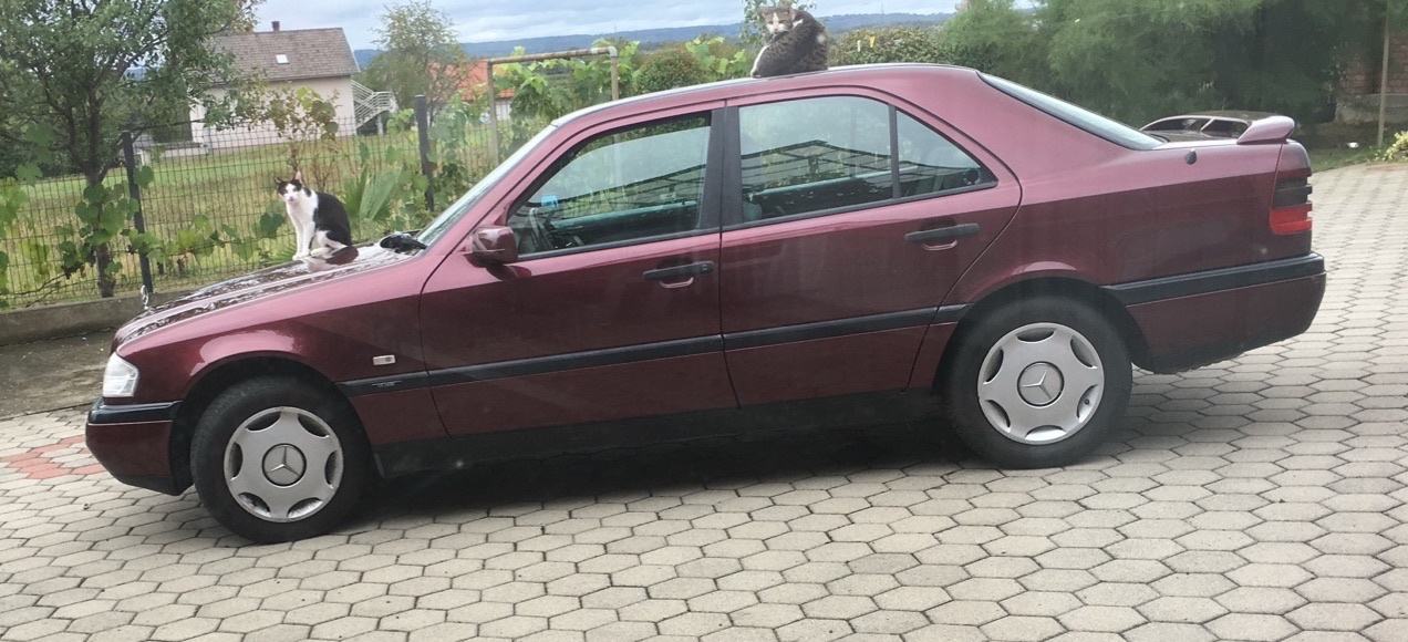 Mercedes-Benz C250 TD Turbo, fotografija 2