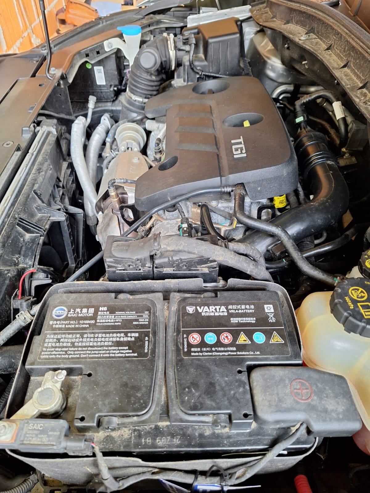 MG ZS 1.0, fotografija 20