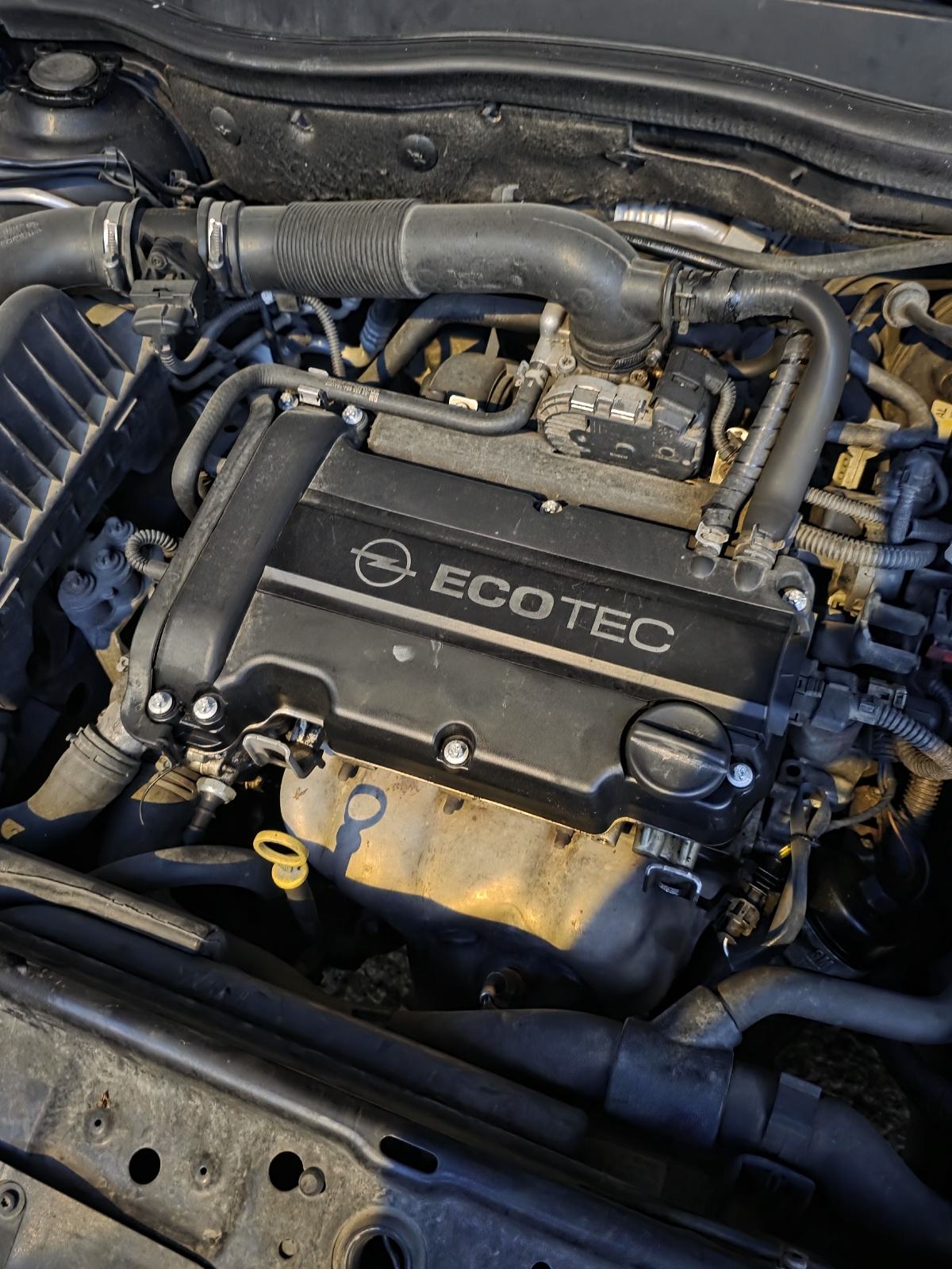 Opel Astra 1,4 16V, fotografija 6