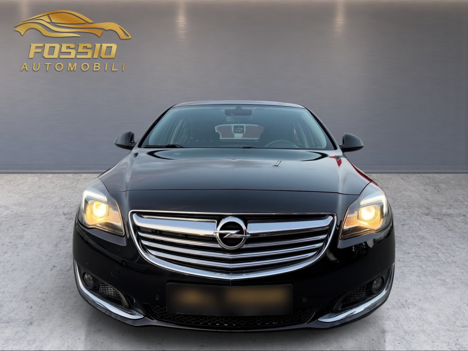 Opel Insignia 2,0 CDTI, fotografija 15