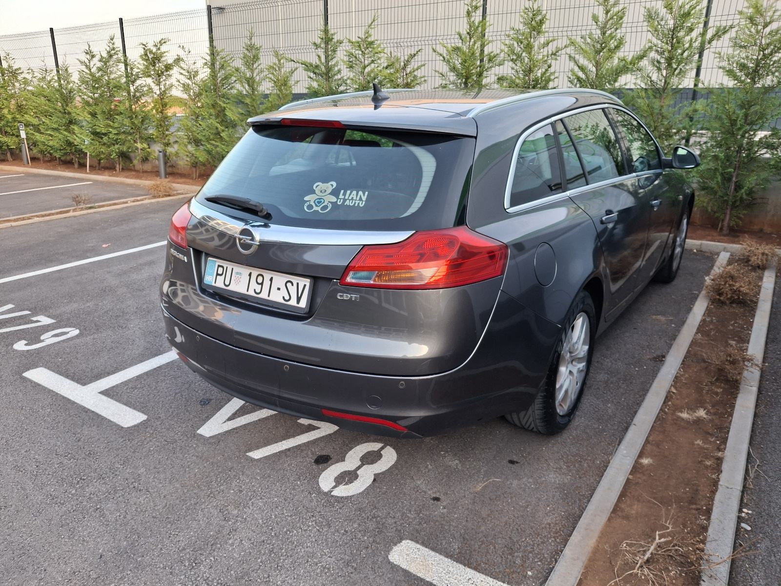 Opel Insignia Karavan 2,0 CDTI, fotografija 1