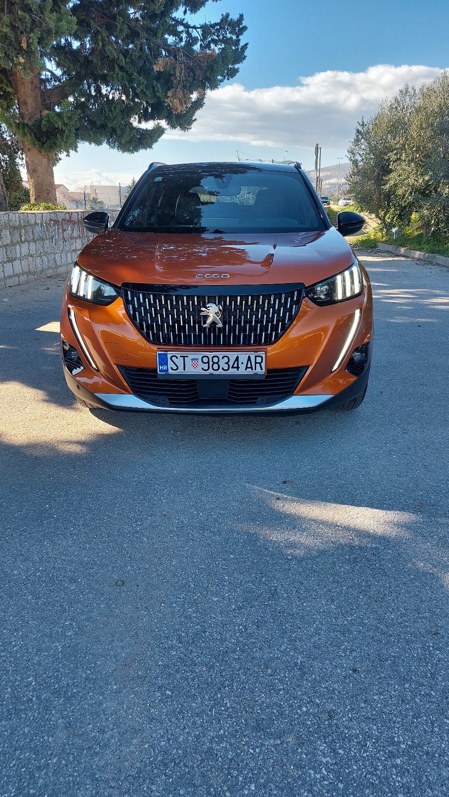 Peugeot 2008 1,5 BlueHDI GT LINE AUTOMATIK, fotografija 2